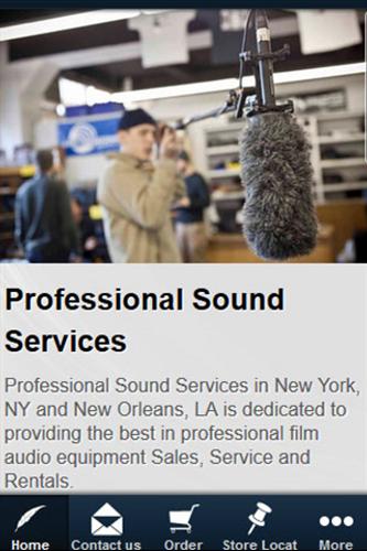 Professional Sound Services