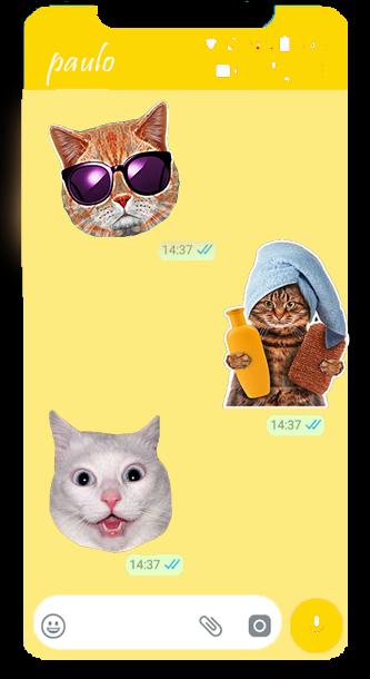 Cats Funny Stickers for WhatsApp 2019