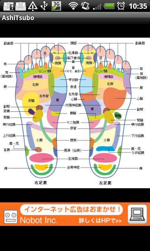 Foot Reflexology
