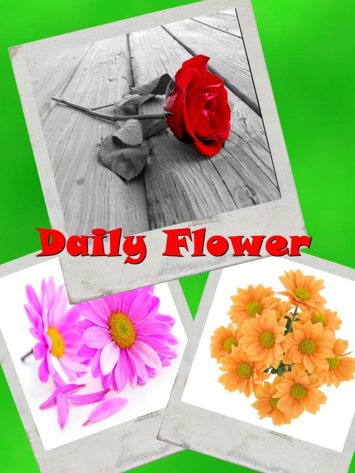 Daily Flower