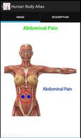 Human Body Atlas