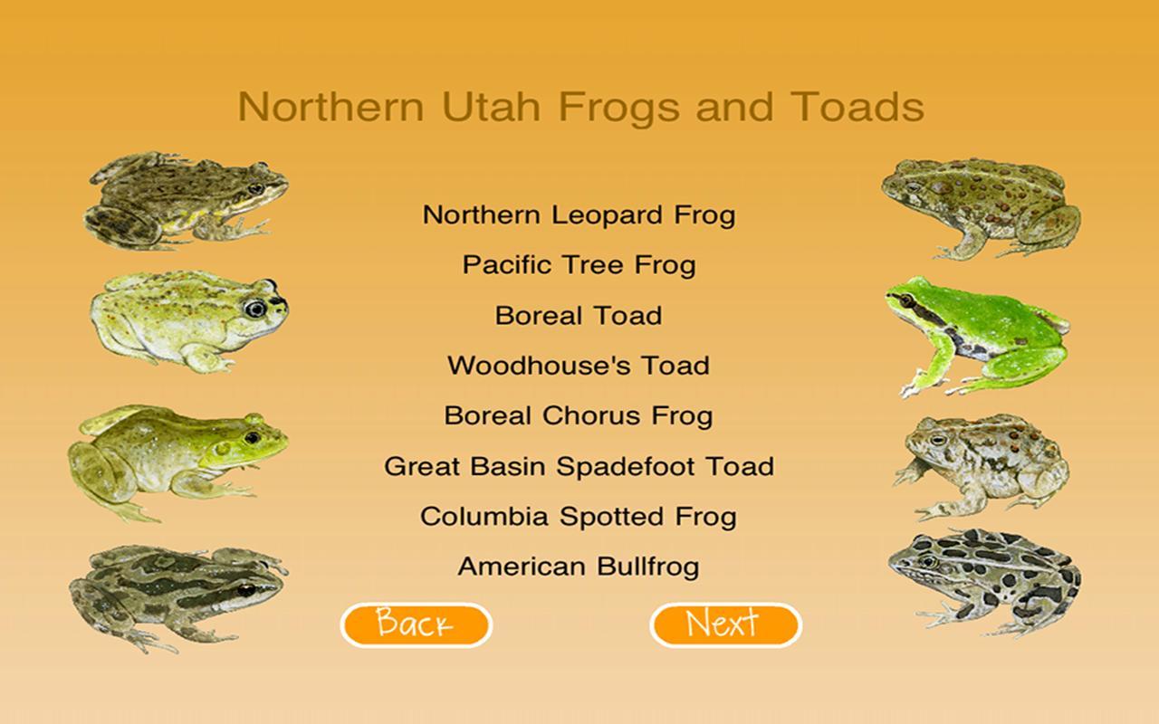 Utah's Hogle Zoo FrogWatch