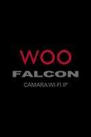 Falcon IP Cam