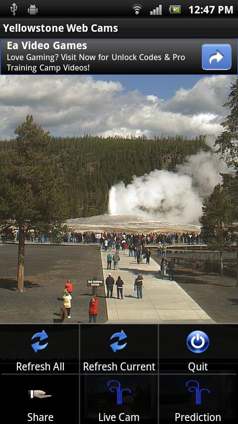 Yellowstone Web Cams