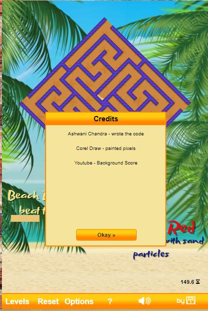 Beach Challenge Game