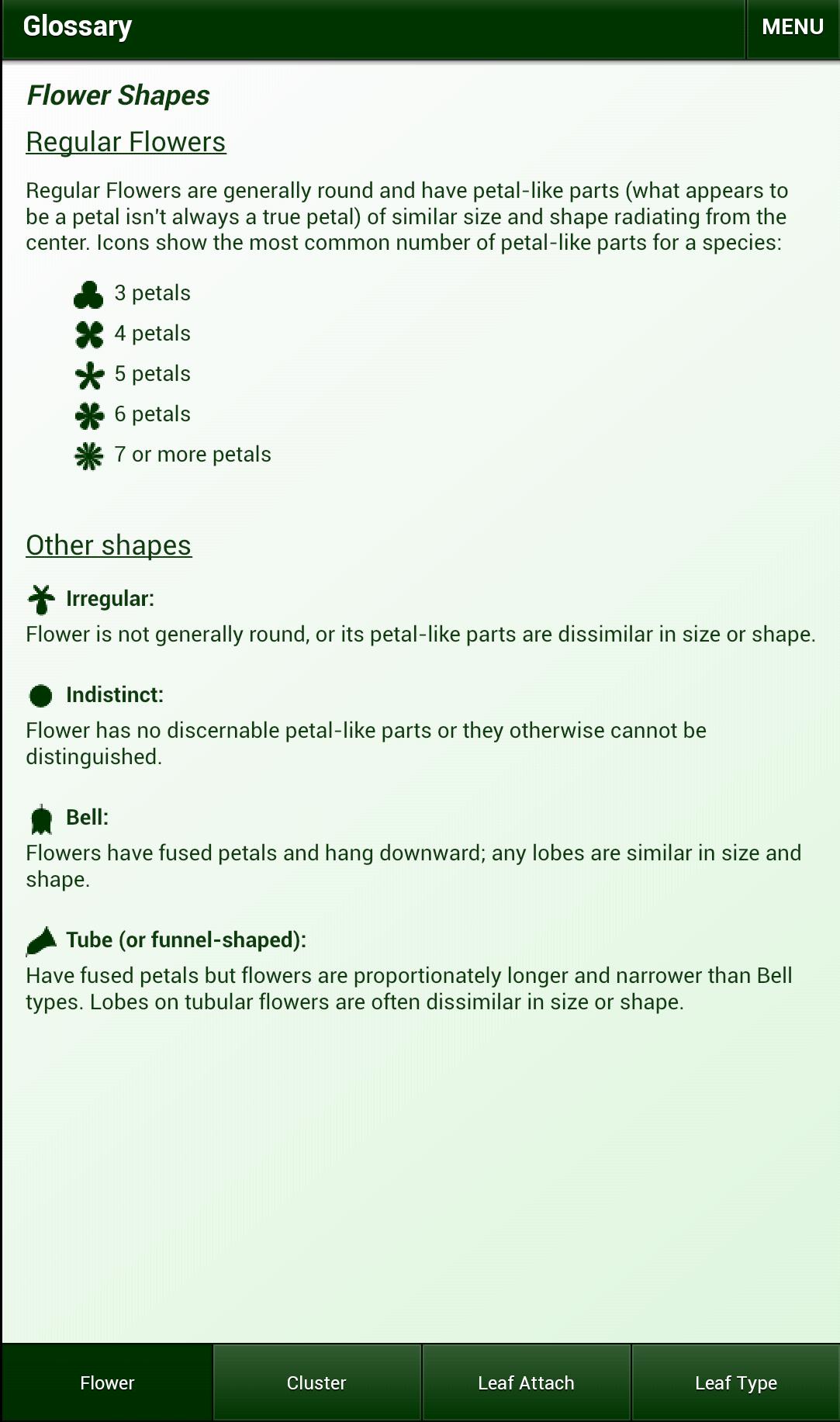 Minnesota Wildflowers Lite