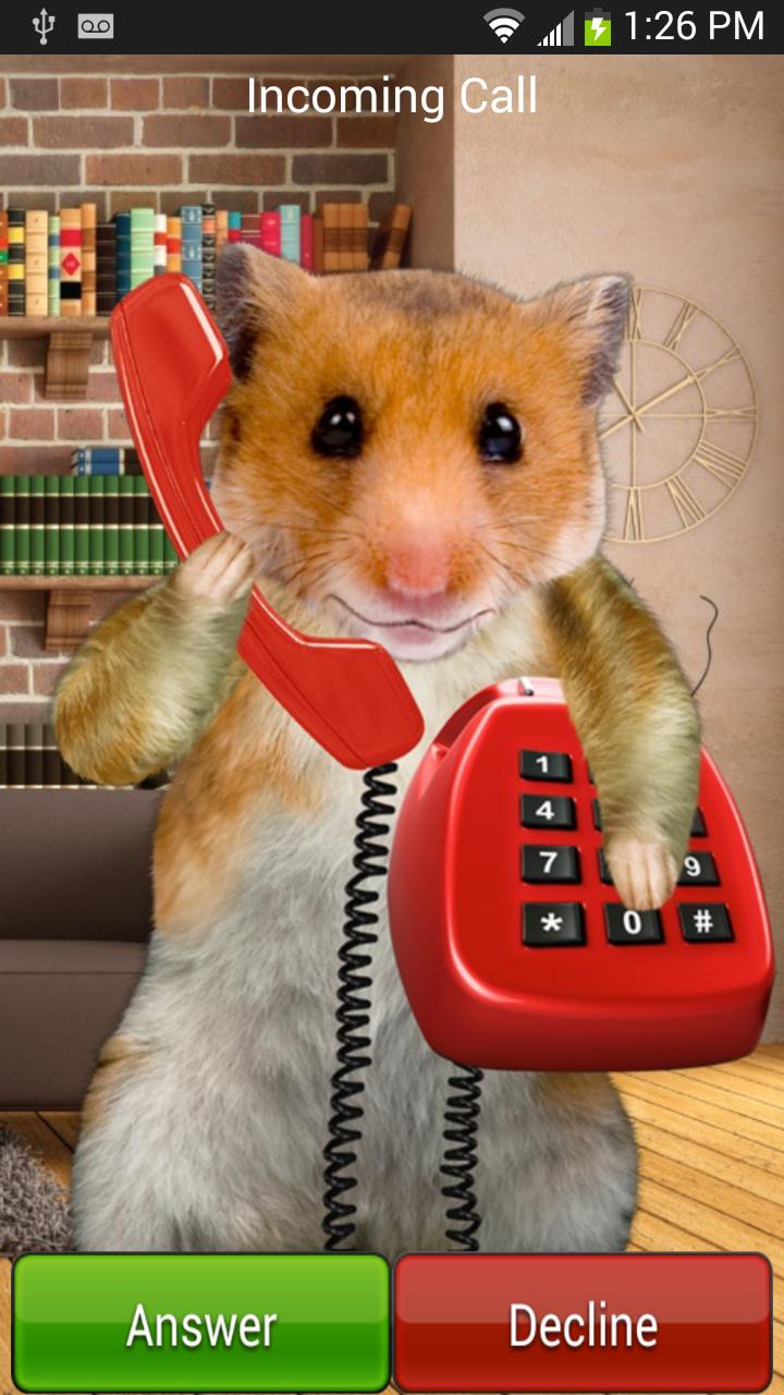 Hamster Phone Call
