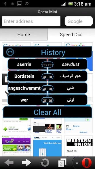 Dictionary On The Run Pro