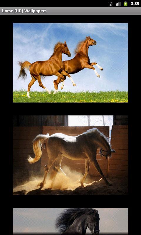 Horse [HD] Wallpapers