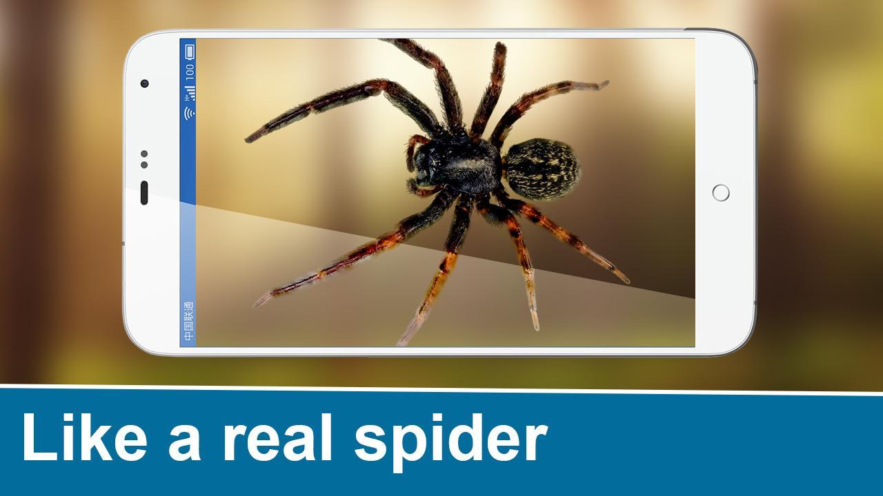 Real Spider On Hand FREE