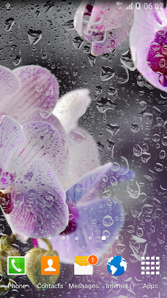 Orchids Live Wallpaper