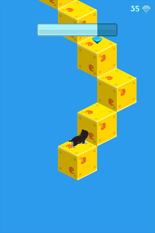 Puppy Infinite Stair