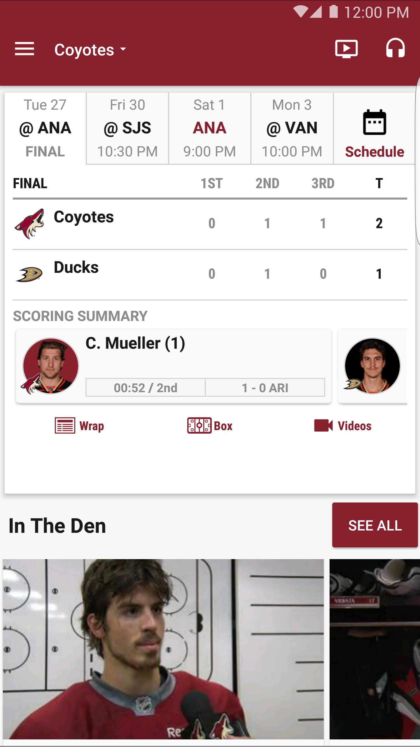Arizona Coyotes