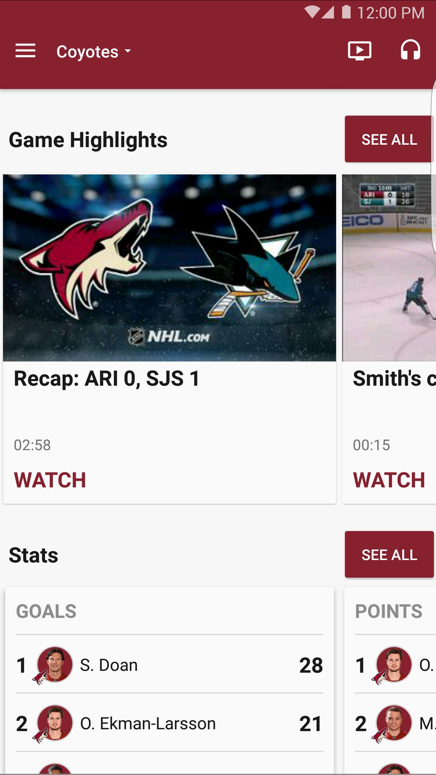 Arizona Coyotes