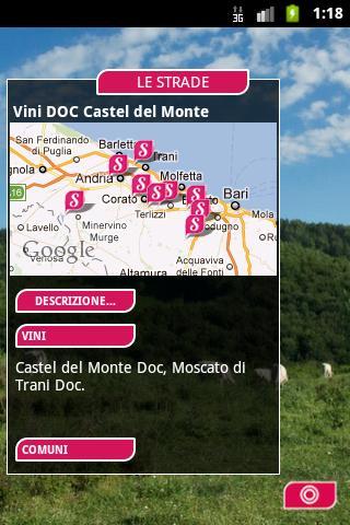 Le Strade del Vino - Puglia