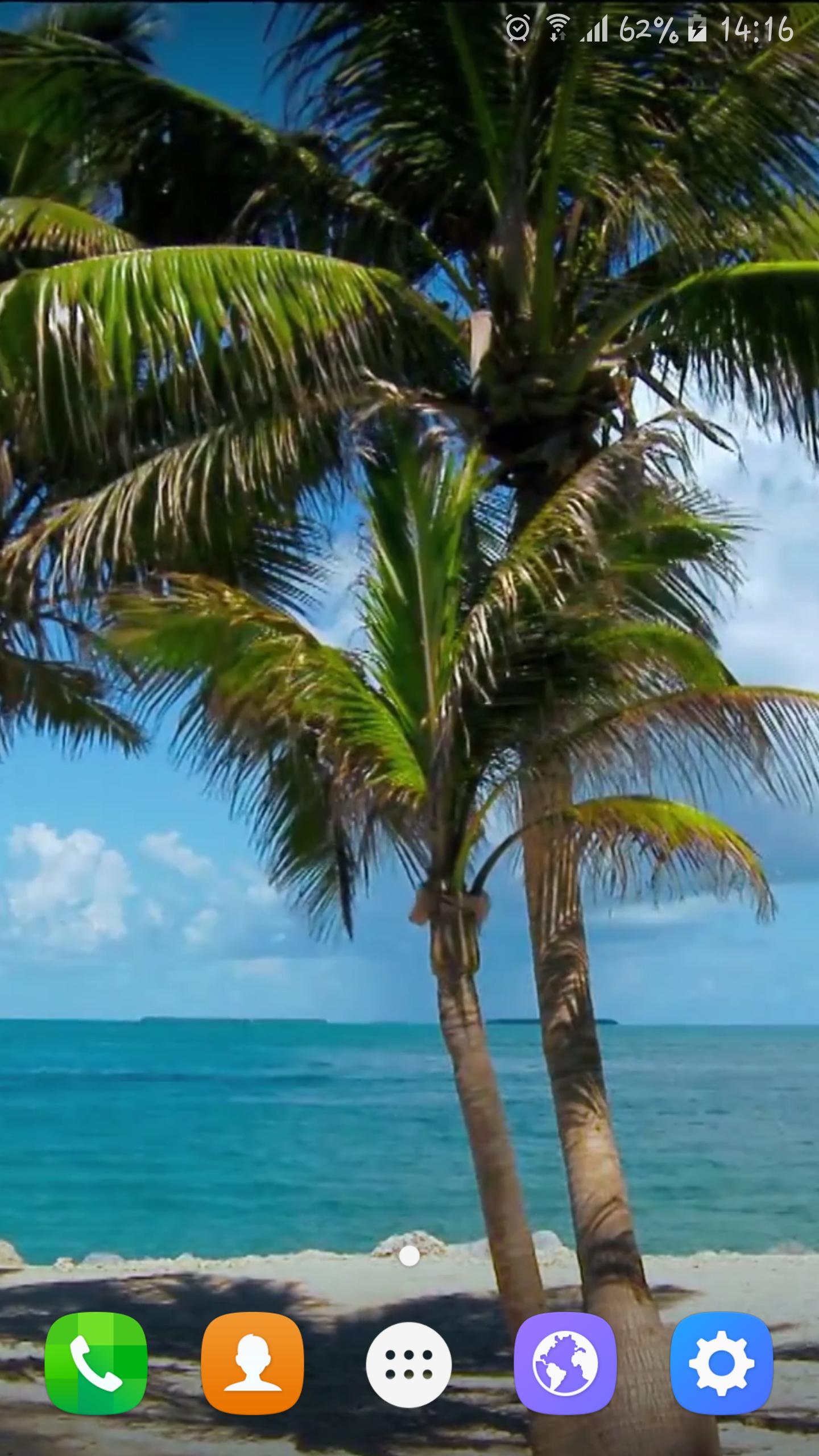 Beach Trees Live Wallpaper