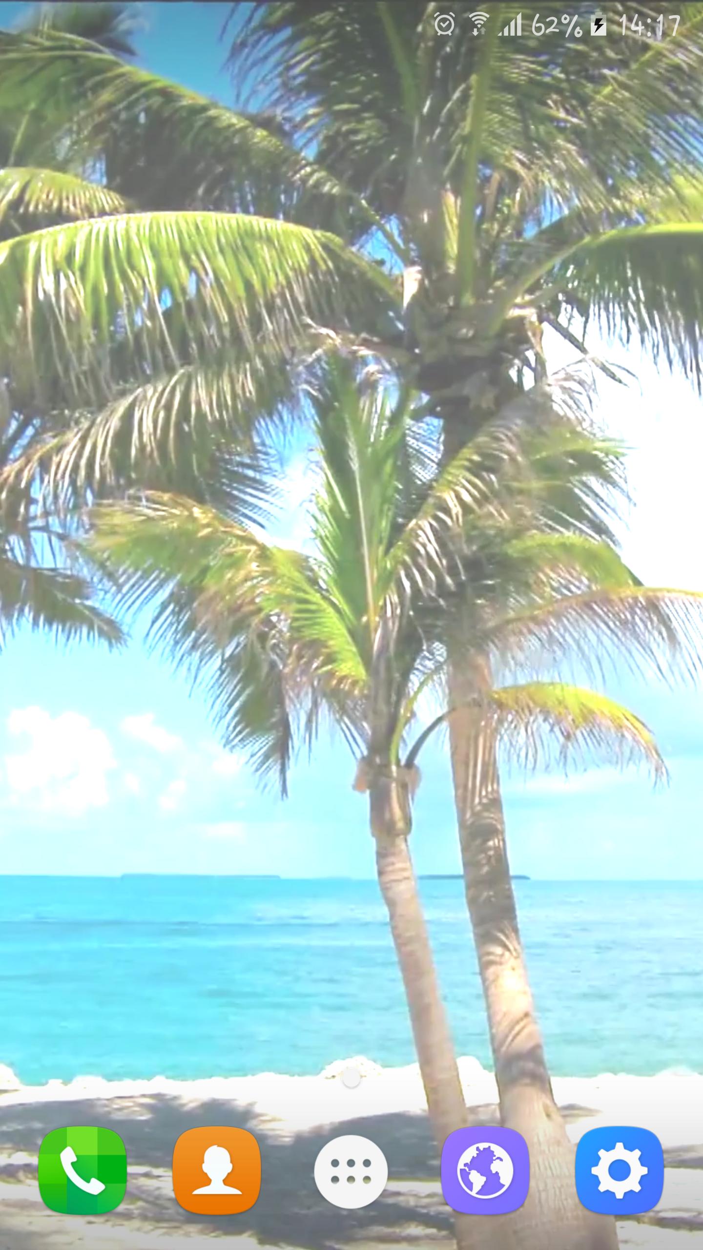 Beach Trees Live Wallpaper