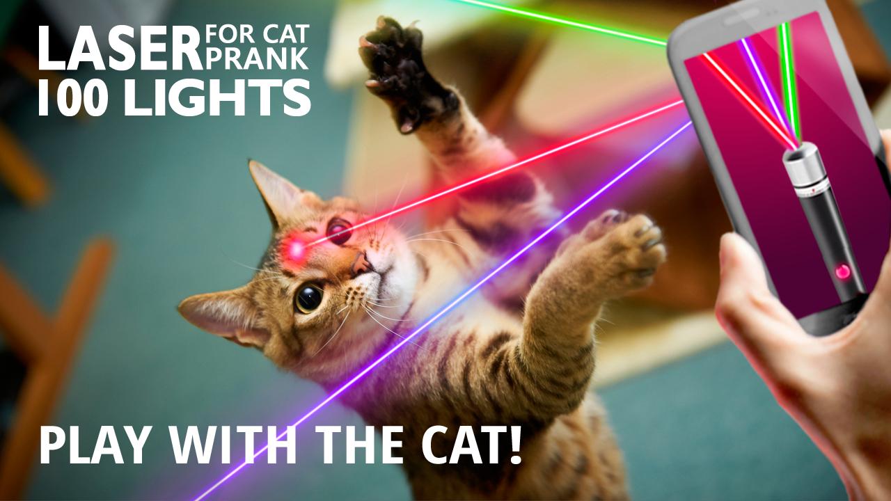 Laser for cat 100 lights Prank