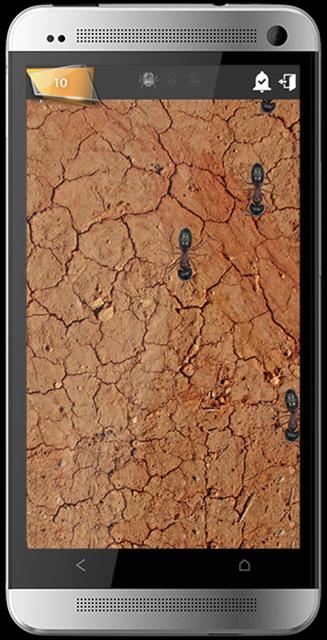 Crush ants