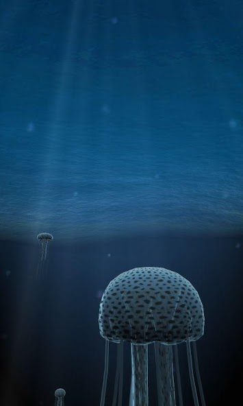 Jellyfish 3D LiveWallpaper