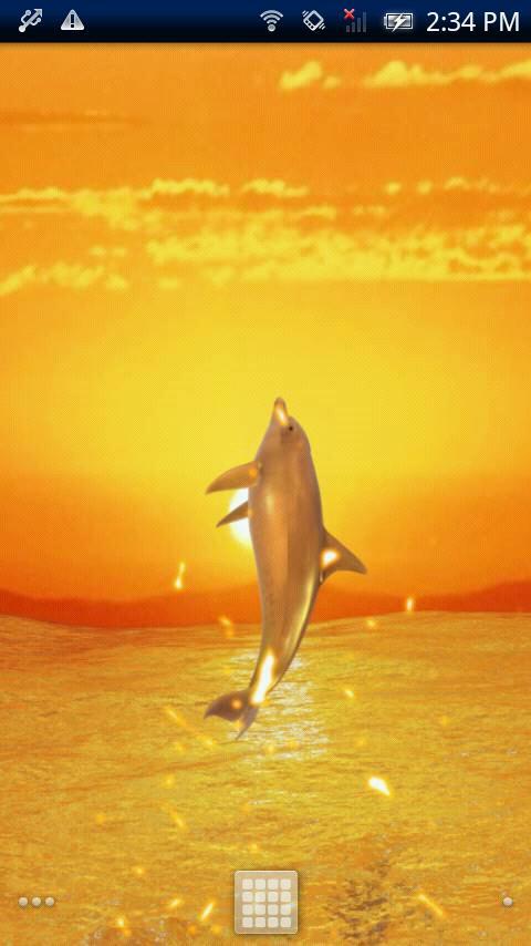 Dolphin HighJump Trial