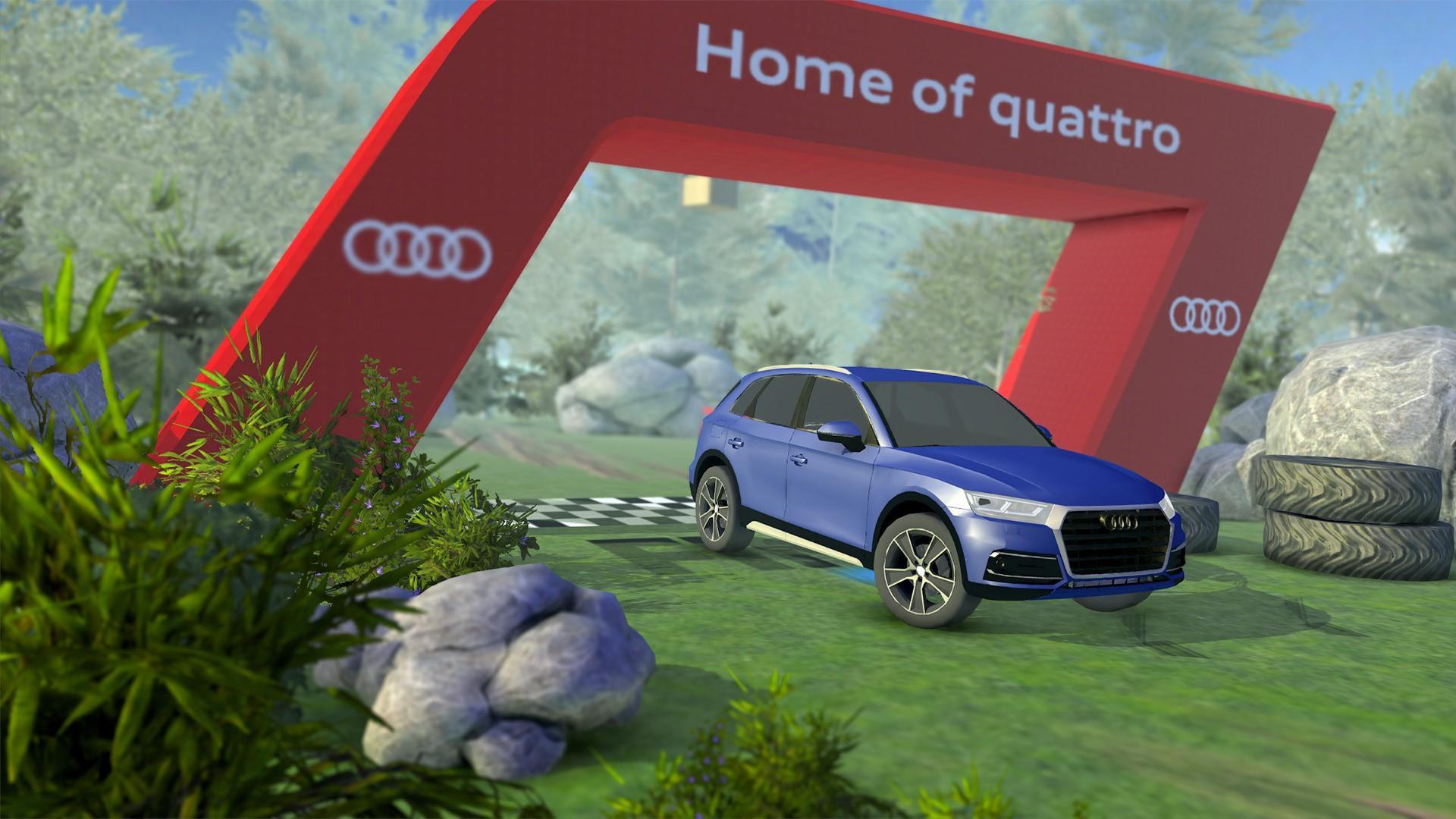 Audi Struckd