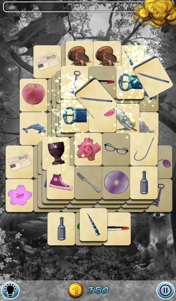 Hidden Mahjong: Into the Wild