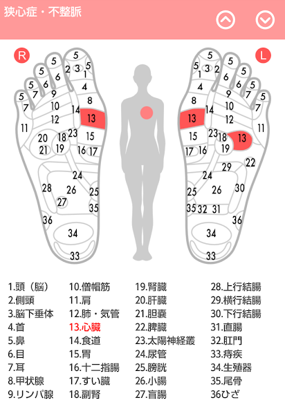 Reflexology chart