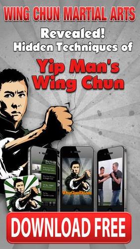 Wing Chun Martial Arts FREE