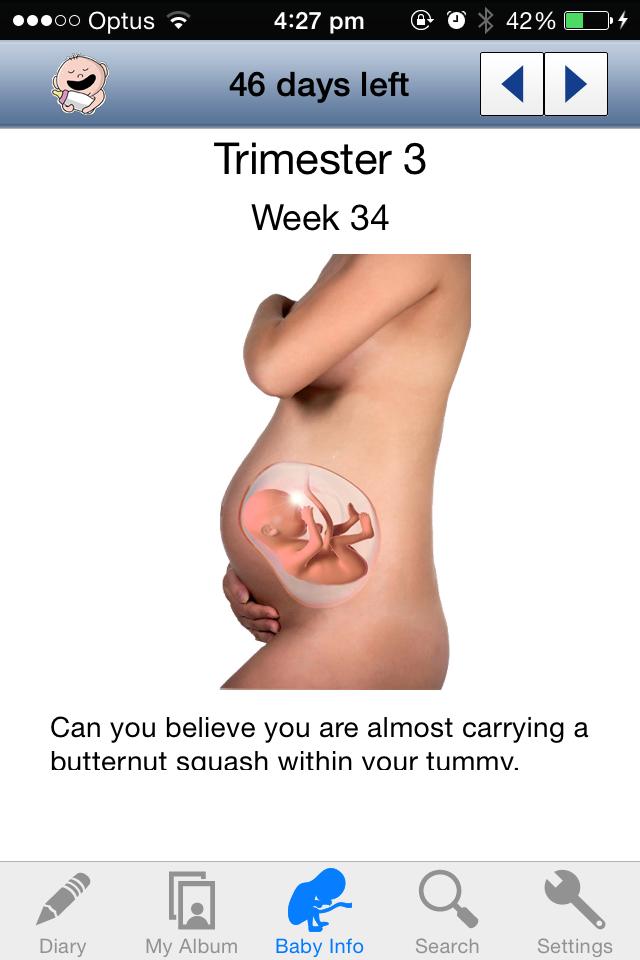 Pregnancy Diary Twins in Womb