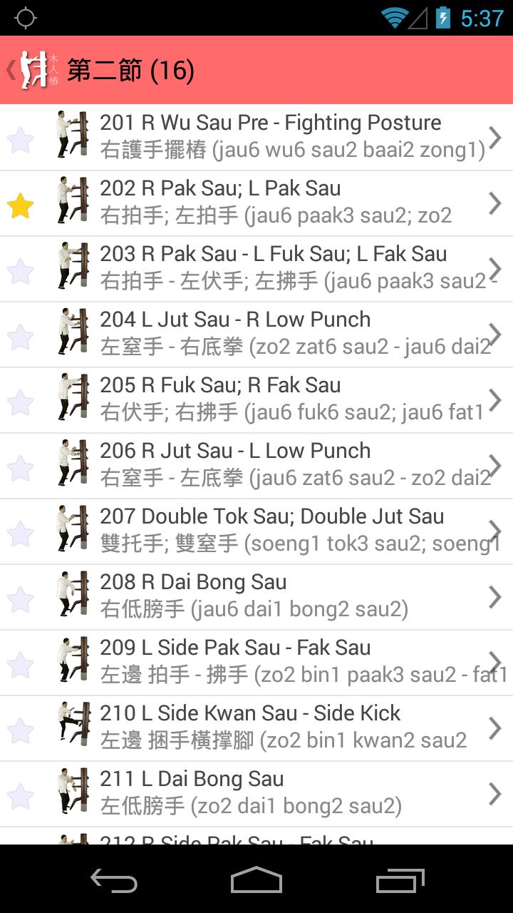 Wing Chun Wooden Dummy Form