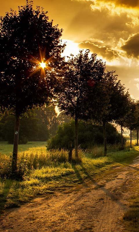 Sunrise Live Wallaper