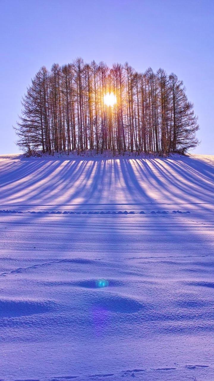 Sunrise Live Wallaper