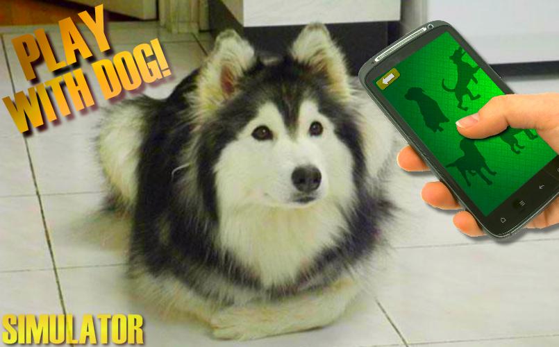 Tease Dogs Sounds Simulator