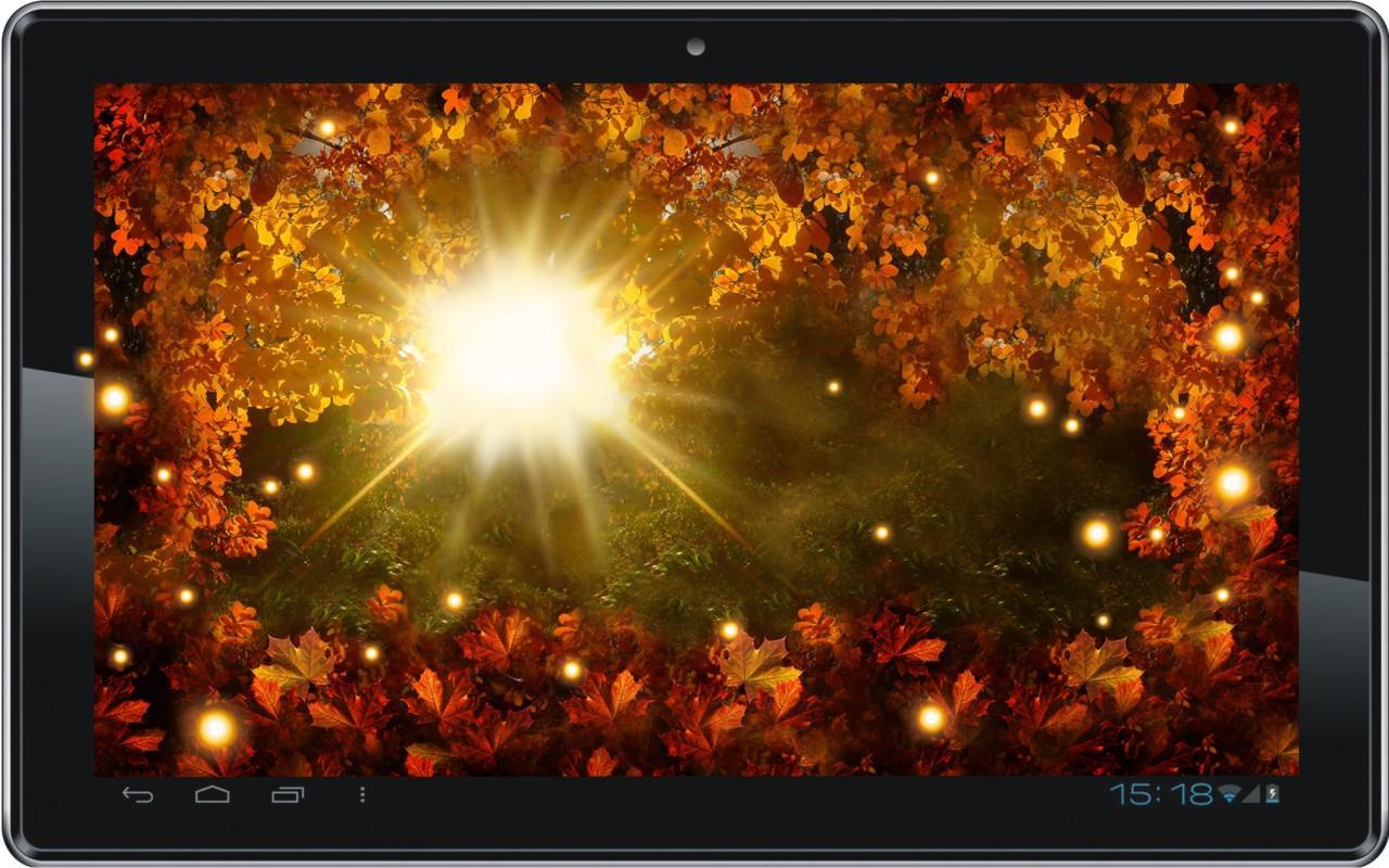Autumn Sun HD live wallpaper