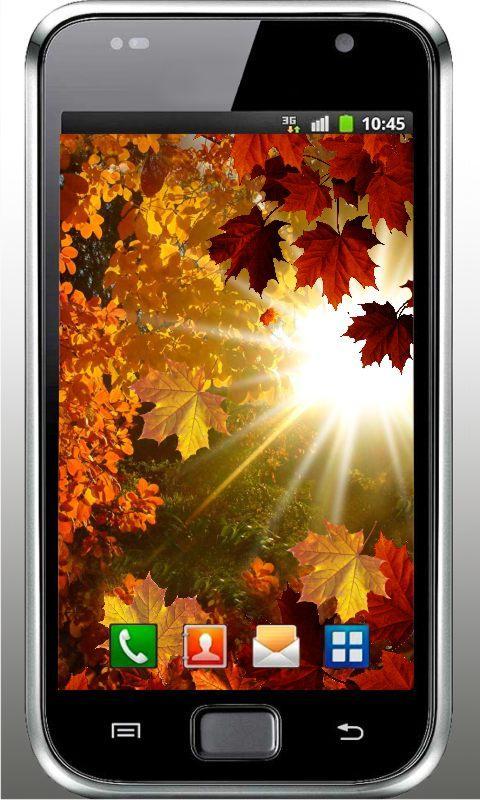 Autumn Sun HD live wallpaper