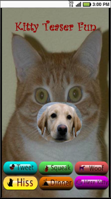 Cat Teaser Cat Sounds & Game