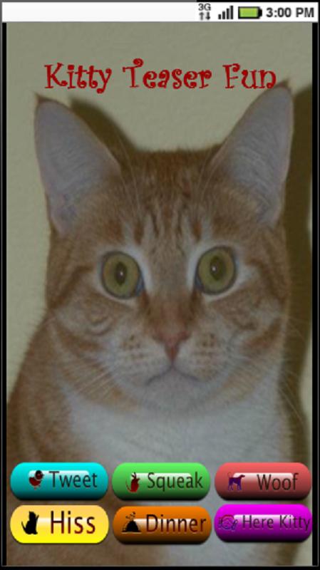 Cat Teaser Cat Sounds & Game