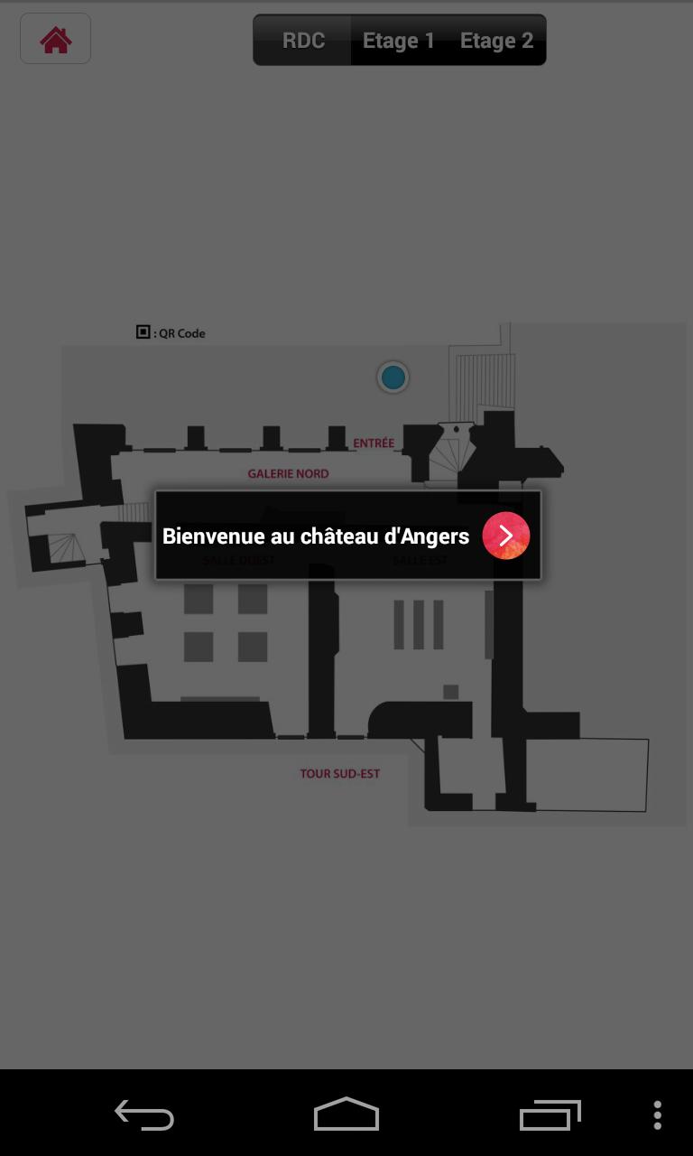 Saint Louis roi de France