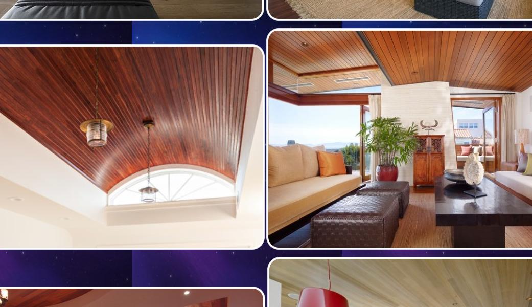 Wooden Ceiling Designs