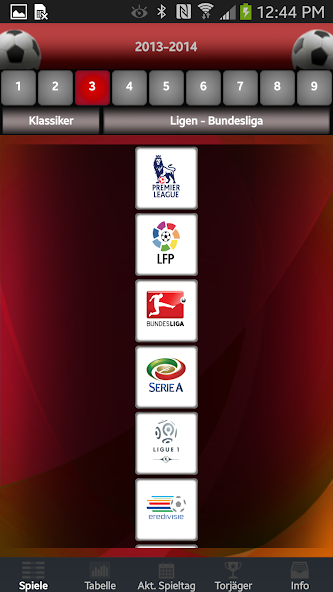 Bundesliga Fussball