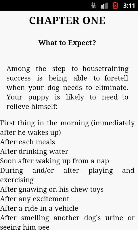 Dog Potty Training