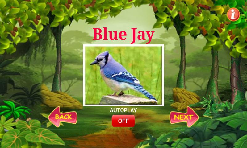 Learn Animal Sounds